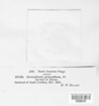 Image Associated With the Occurence